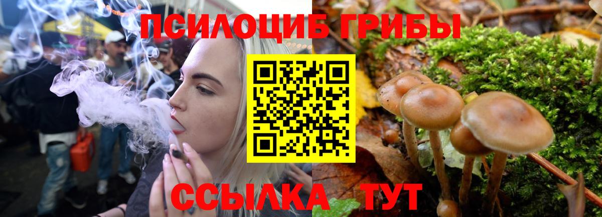 Галлюциногенные грибы ЛСД  Вход с VPN  Нижний Тагил 